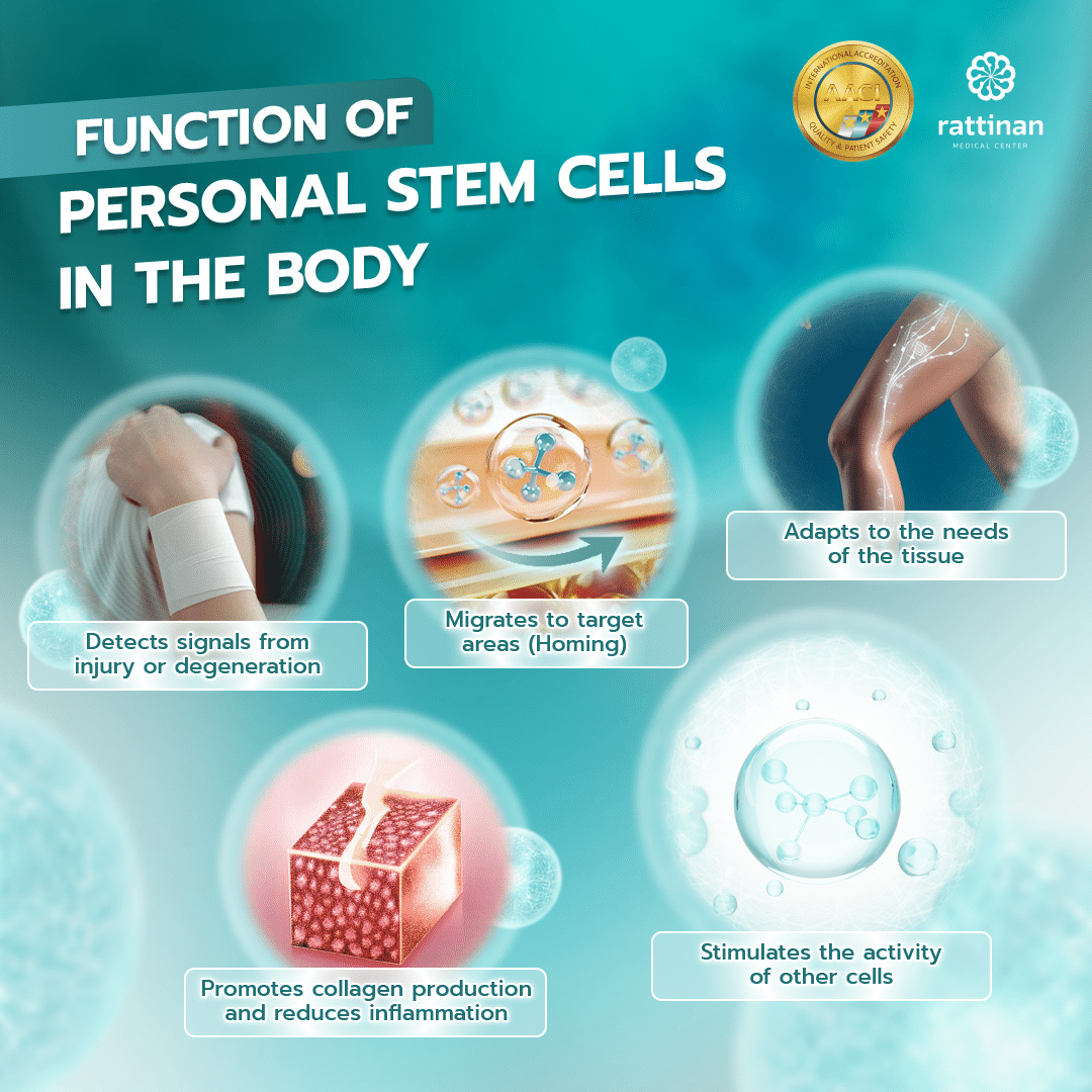 How Personal Cell Therapy Works